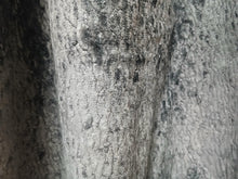 Load image into Gallery viewer, Dark grey textured velvet, lined &amp; I/L, SINGLE 3929d
